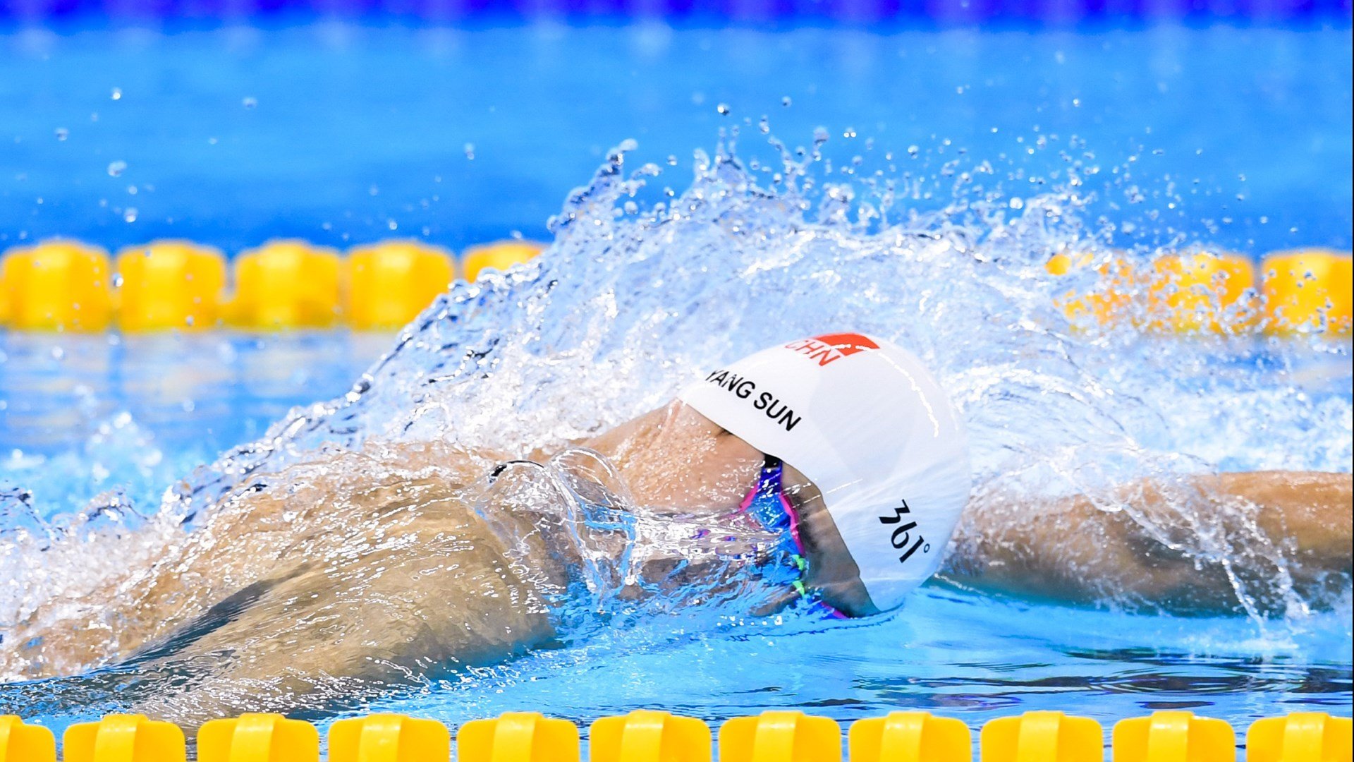 200蝶争锋 乌兰多水中飞翔